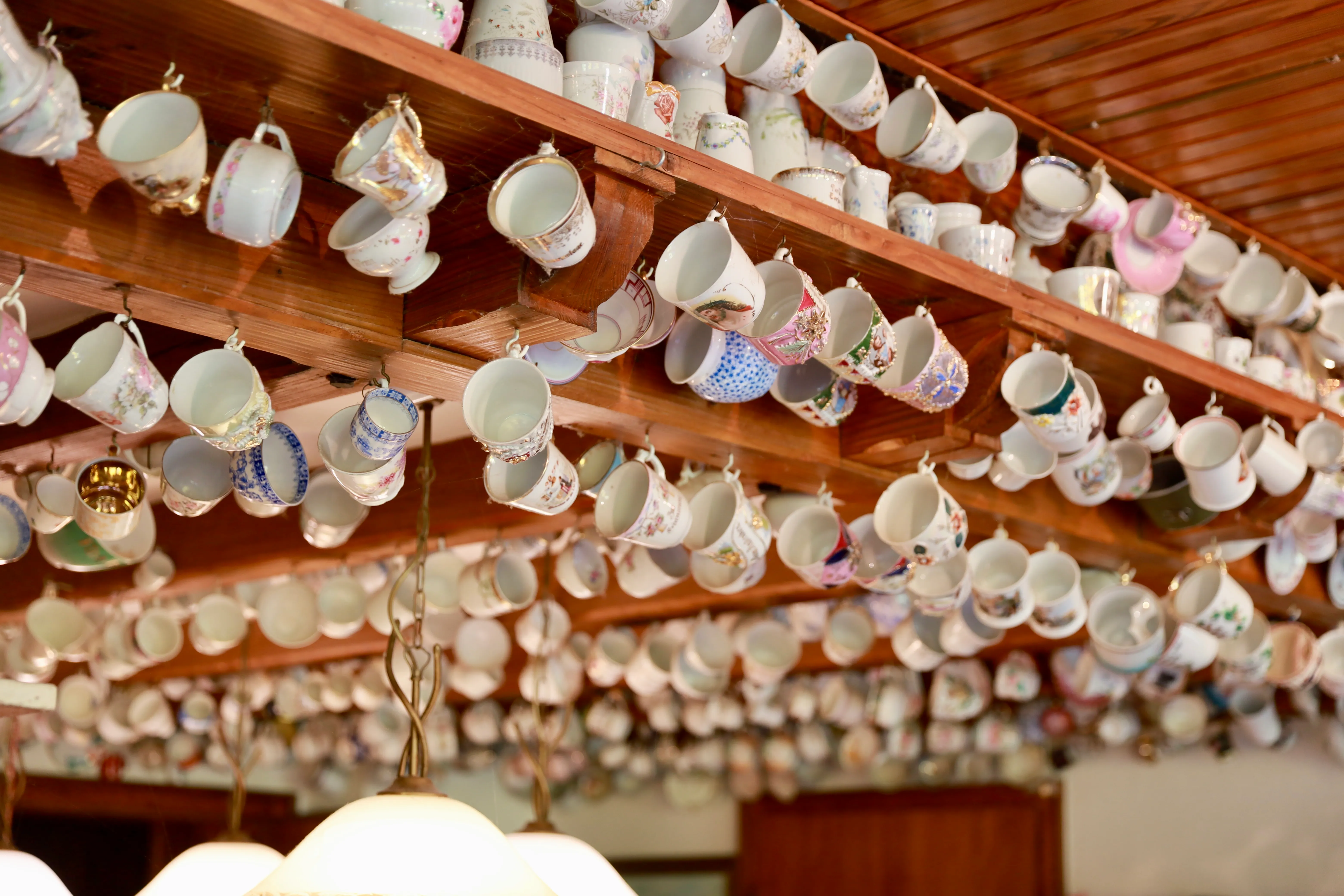 Die berühmte Tassensammlung